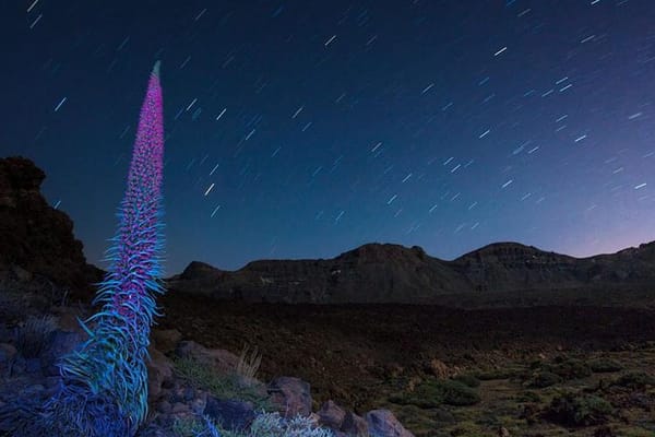 Teide under the stars: Stargazing, Dinner and Hotel Pick up