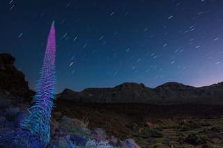 Teide under the stars: Stargazing, Dinner and Hotel Pick up
