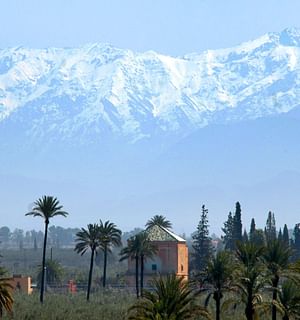 Marrakech Essential attractions tour full day 