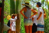 Tulum Mayan Ruins Only Tour  6