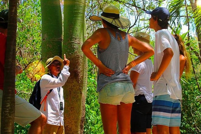 Tulum Mayan Ruins Only Tour  6