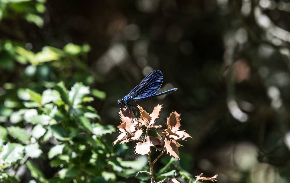 Three-Day Hiking and Kayaking Adventure in Kalavrita, Greece