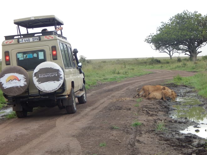 16 Days / 15 Nights - Kenya, Tanzania Exclusive Safari