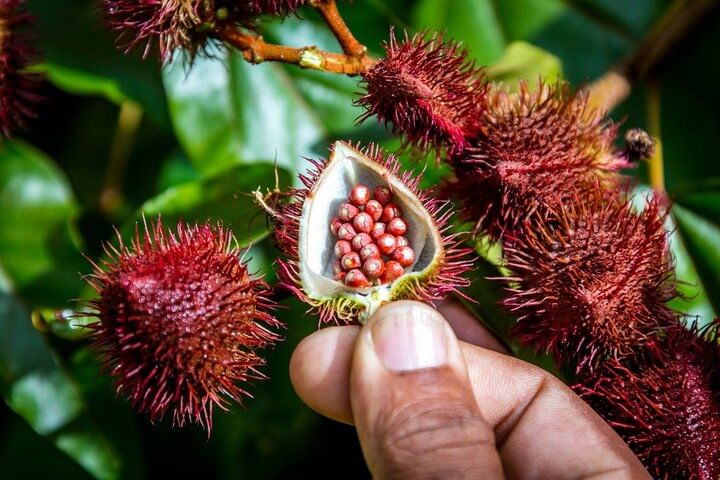 Higuey tour with local lunch in a family home