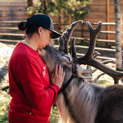 BOOKING REGISTRATION of Free Pass to Santa Claus Reindeer (1st of June!)