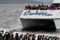 Navigation to Penguin colony