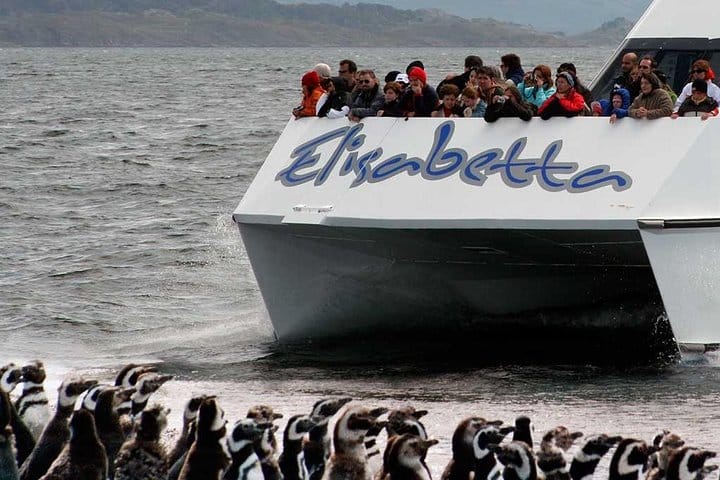 Navigation to Penguin colony