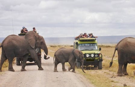 4 Day Amboseli Tsavo West and East Safari on 4×4 Landcruiser Jeep