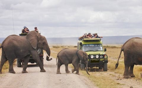 4-Day Safari Adventure in Amboseli and Tsavo, Kenya