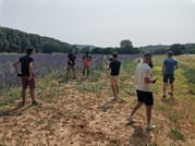 Live a real and unique experience in a lavender field 10