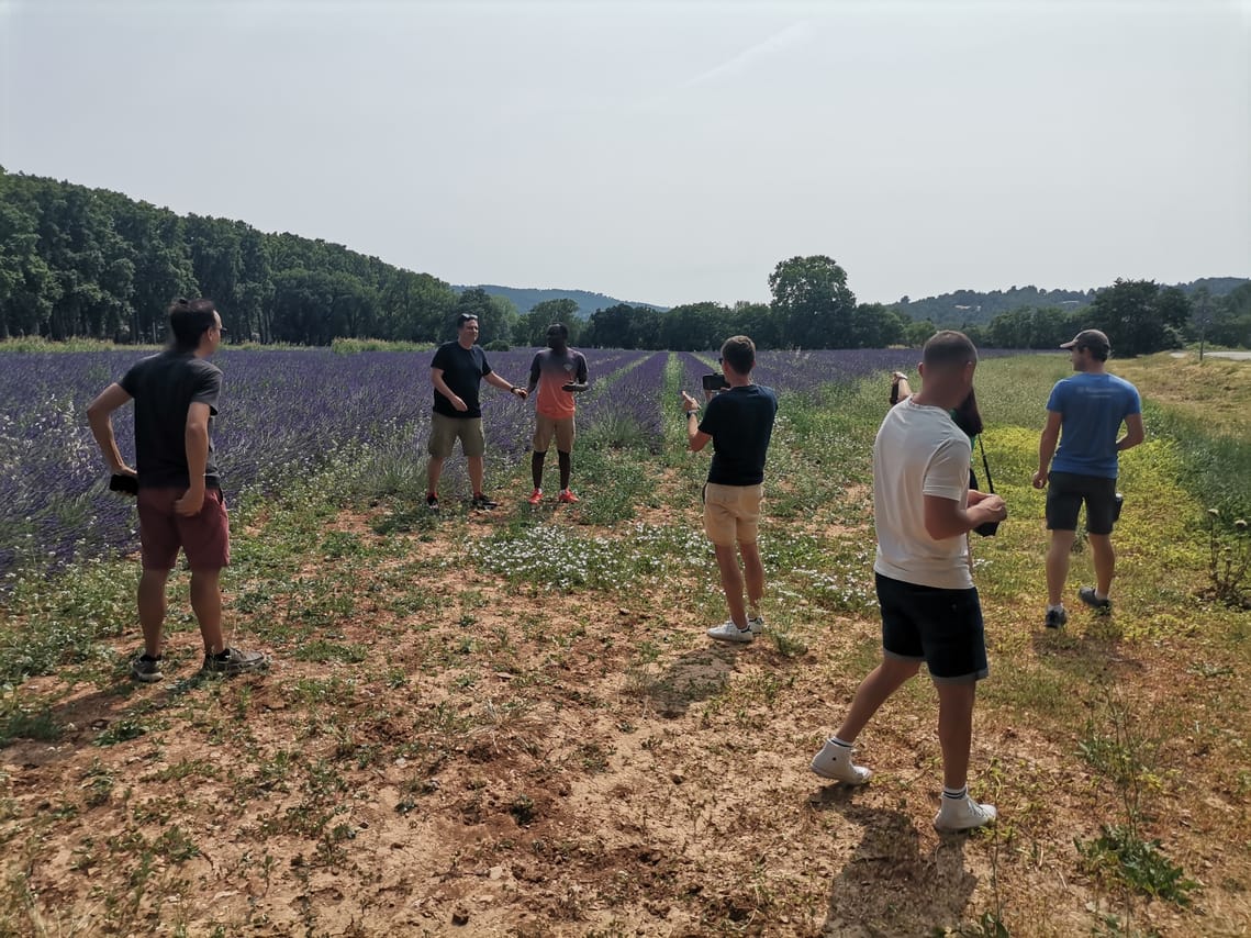 Live a real and unique experience in a lavender field 10