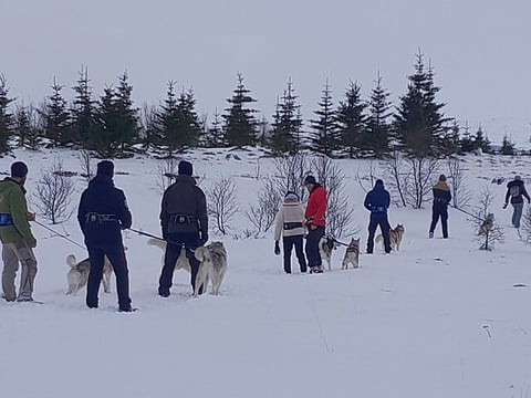 mixed groups