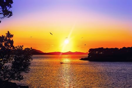 Shore Excursions - Exclusive: Sunset by Boat & Dubrovnik History by Night