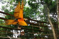 Bird Park