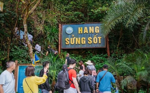 Halong Bay Premium Day Tour with Alova Cruise and Hiking