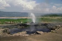 1-Day Lake Manyara Tour from Arusha 4