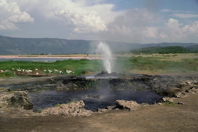 1-Day Lake Manyara Tour from Arusha photo 4