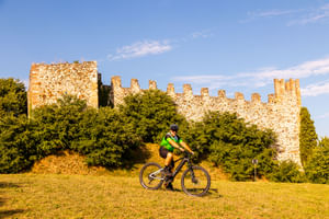 E-Bike tour with Wine tasting from Salò