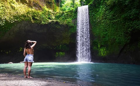 Ubud Highlights Tour: Waterfalls, Temples, and Rice Terraces