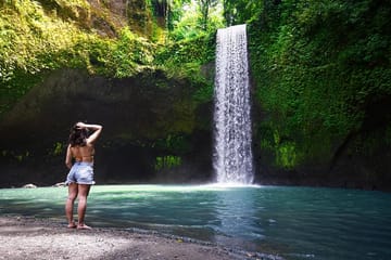 Ubud Highlights Tour: Waterfalls, Temples, and Rice Terraces