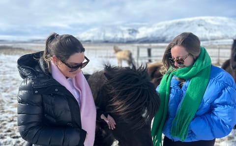 Super Jeep 4×4 Private Golden Circle Tour from Reykjavik