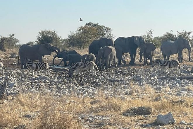 3 Days Etosha National Park Safaris 7