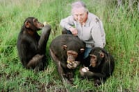 ol pejeta Conservancy