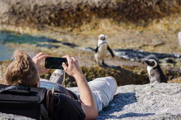 Kirstenbosch Garden, Bo-Kaap,Penguins & Cape of Good Hope Tour 9
