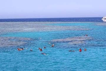 Snorkeling with Dolphins at Sataya in Marsa Alam, Egypt