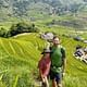 Sa Pa: Muong Hoa Valley Trek and Local Ethnic Villages Tour