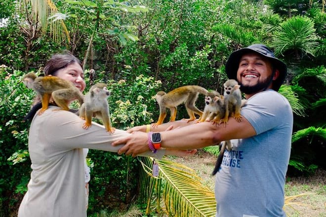 3x1: Monkeyland Waterfalls and Buggy Tour Puerto Plata 2