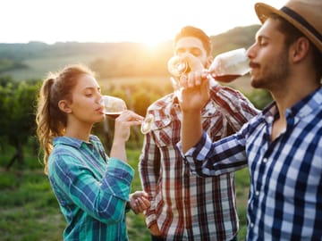 Romanian Wineries Tour from Bucharest