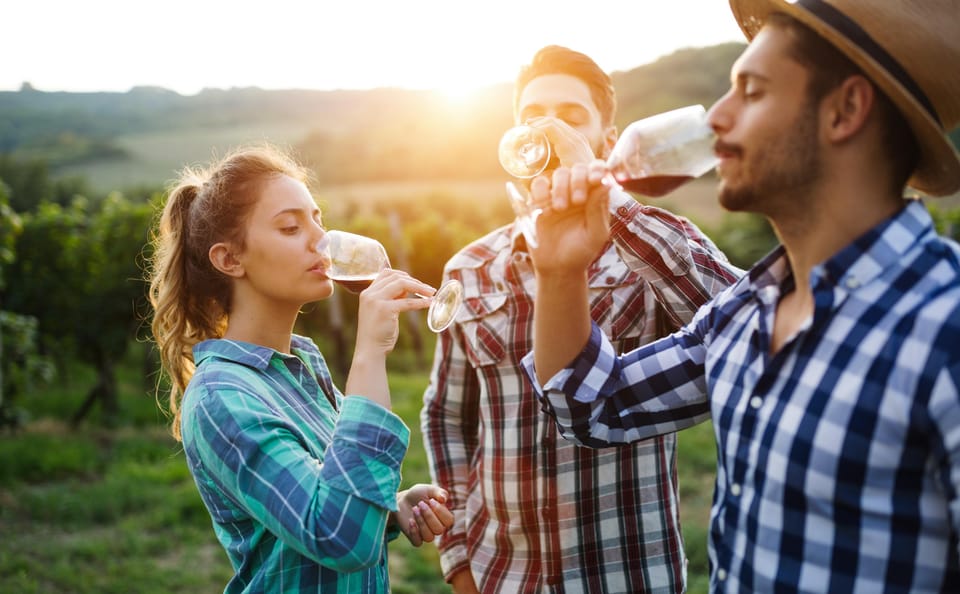 Romanian Wineries Tour from Bucharest