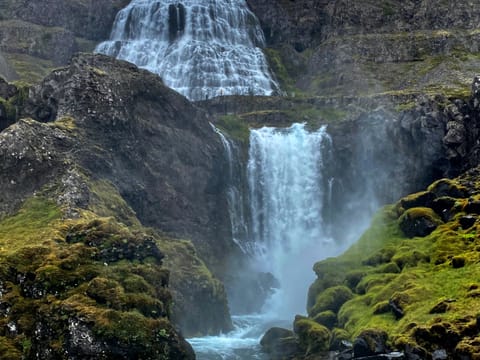 Dynjandi Waterfall & Countryside Visit, photo 2
