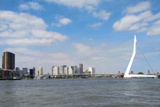 Private Day Tour to The Hague, Delft and Rotterdam from Amsterdam
