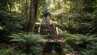 Private Coimbra & Buçaco Tour with Forest Walk & Palace 7