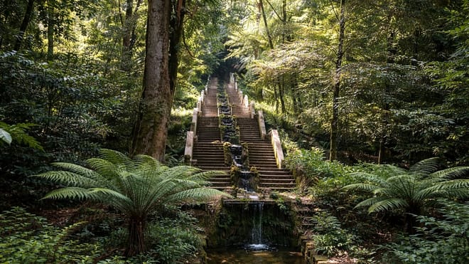 Private Coimbra & Buçaco Tour with Forest Walk & Palace 7