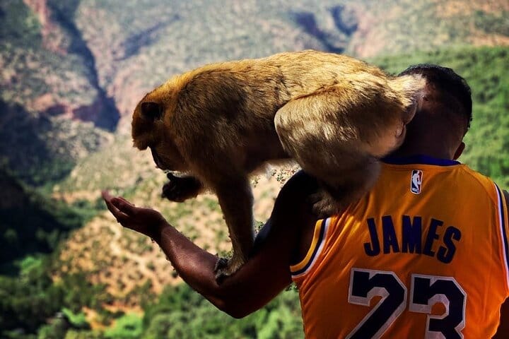 Ouzoud Waterfalls Full Day Trip From Marrakech