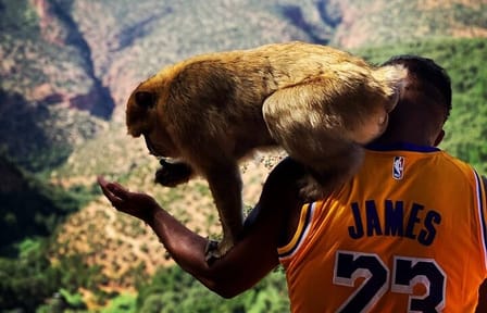 Ouzoud Waterfalls Full Day Trip From Marrakech