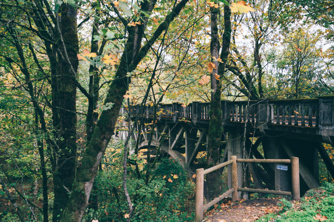 Historic Columbia River Highway