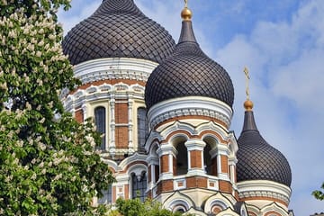 Private Walking Tour of Tallinn's Historic Town Hall Square