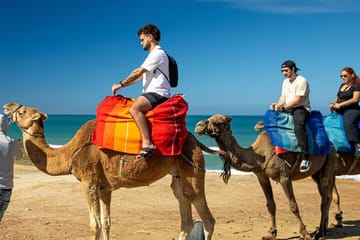 Casablanca to Tangier Day Trip with Cap Spartel and Medina Tour