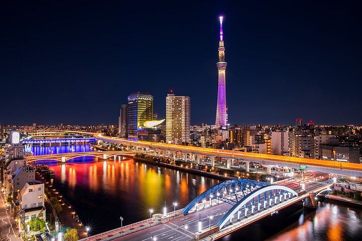 Tokyo Private Night Tour by Car/Van - English speaking chauffeur