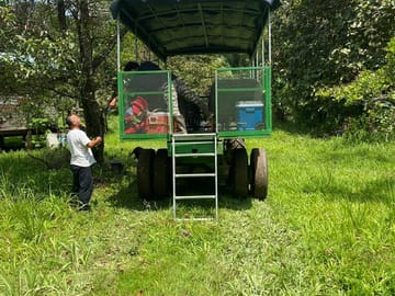 Belize tractor ride to rainforest waterfalls