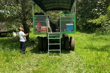 Deep Rainforest Adventure and Waterfall Exploration in Belize