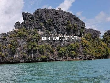 Langkawi Wild Night Out – Mangrove Safari & Riverside Dinner
