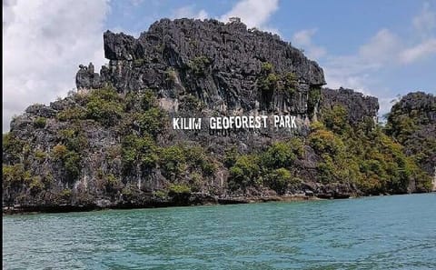 Langkawi Wild Night Out – Mangrove Safari & Riverside Dinner