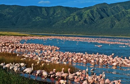 2 Days Prehistoric Tour in Elemantaita, Soysambu and Kariandusi