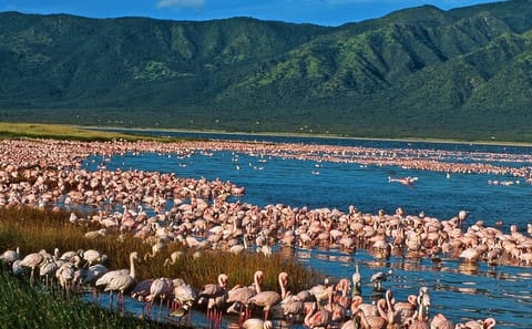 2 Days Prehistoric Tour in Elemantaita, Soysambu and Kariandusi