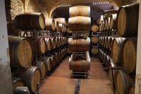 Wine Tasting in Historical Center of Lazise 5
